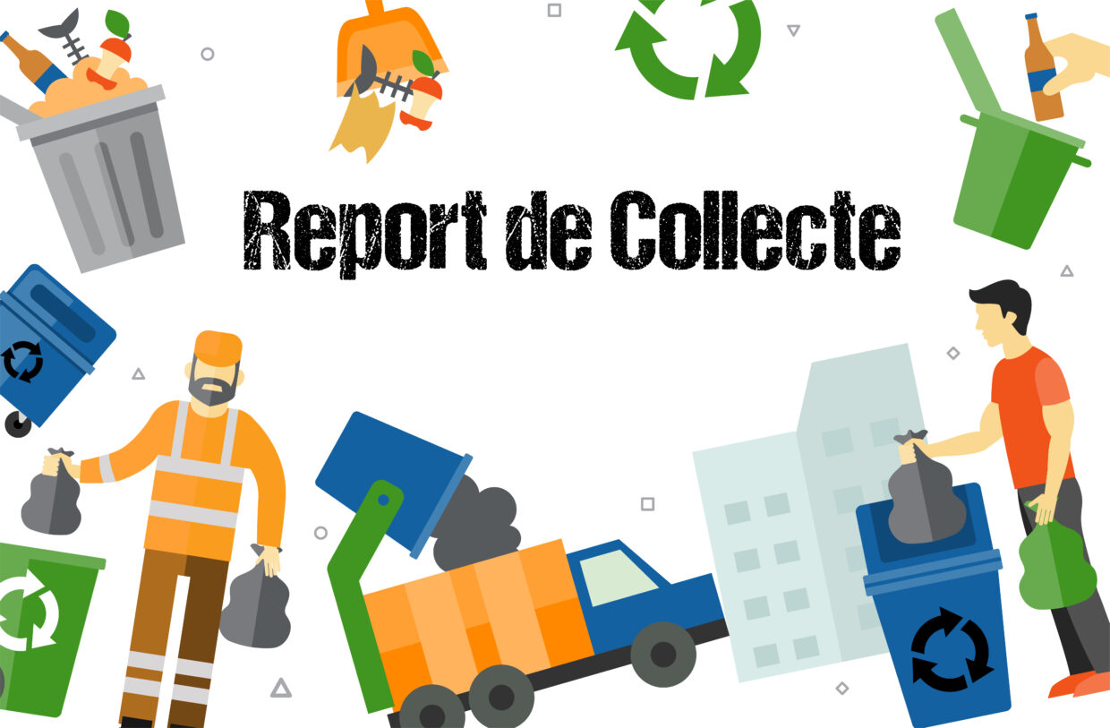 logo report de collecte